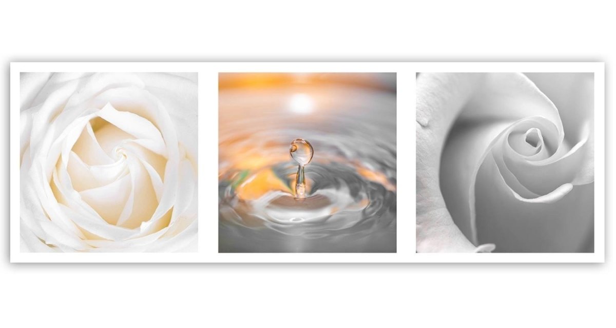 Emaga Obraz na płótnie, Płatki i kropla - 150x50